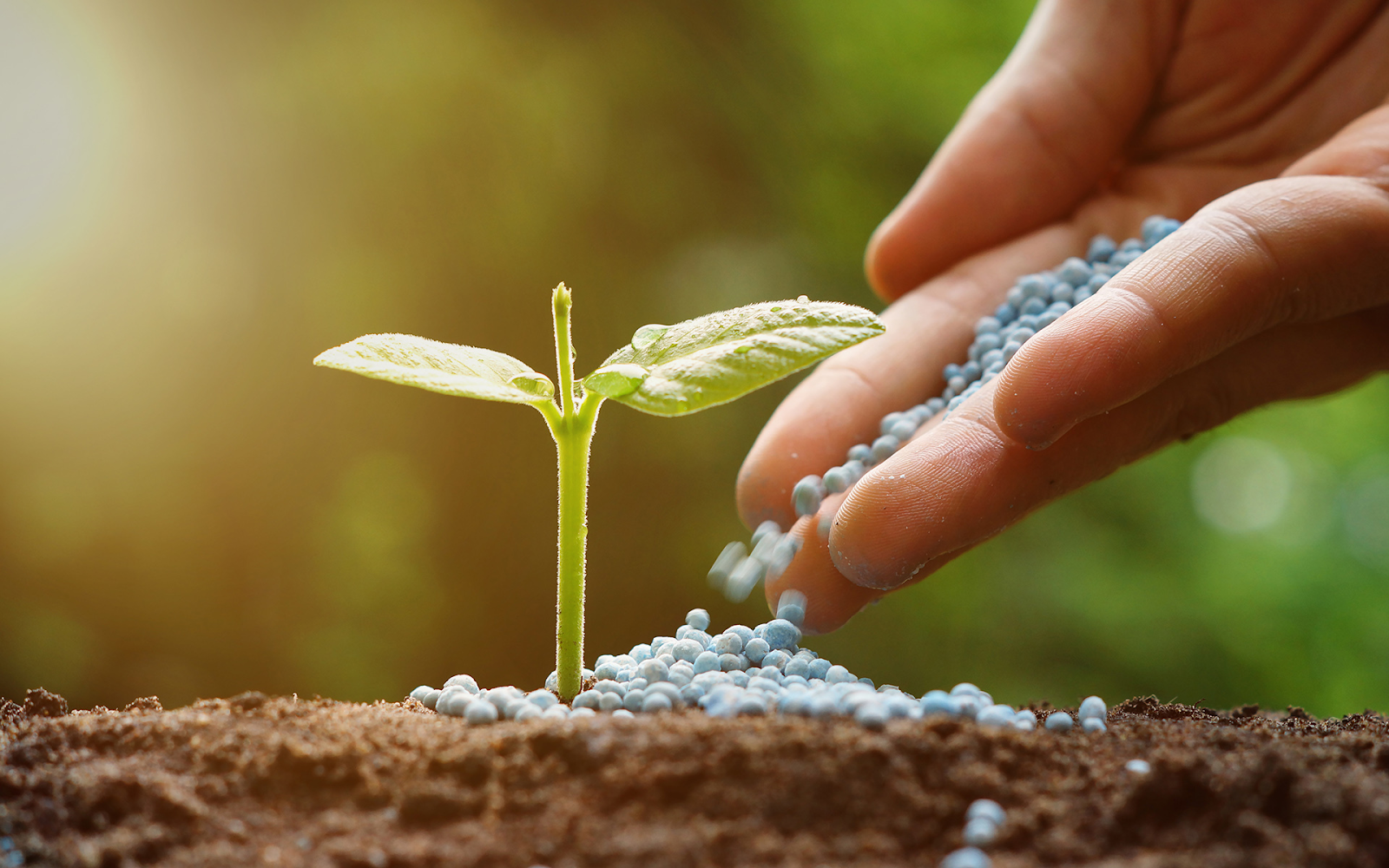Well-Balanced Synthetic Fertilizers