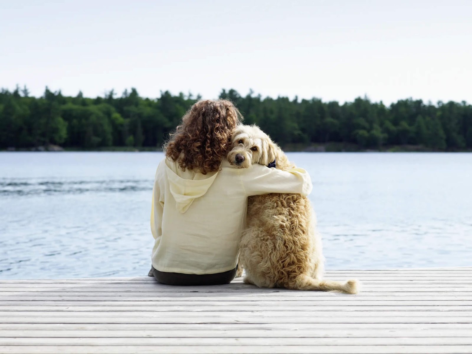 Quotes about Losing A Loved One That are Pets