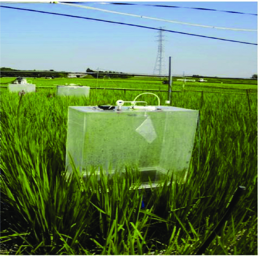 The closed chamber technique of CH 4 sampling in rice planted paddy field.  | Download Scientific Diagram