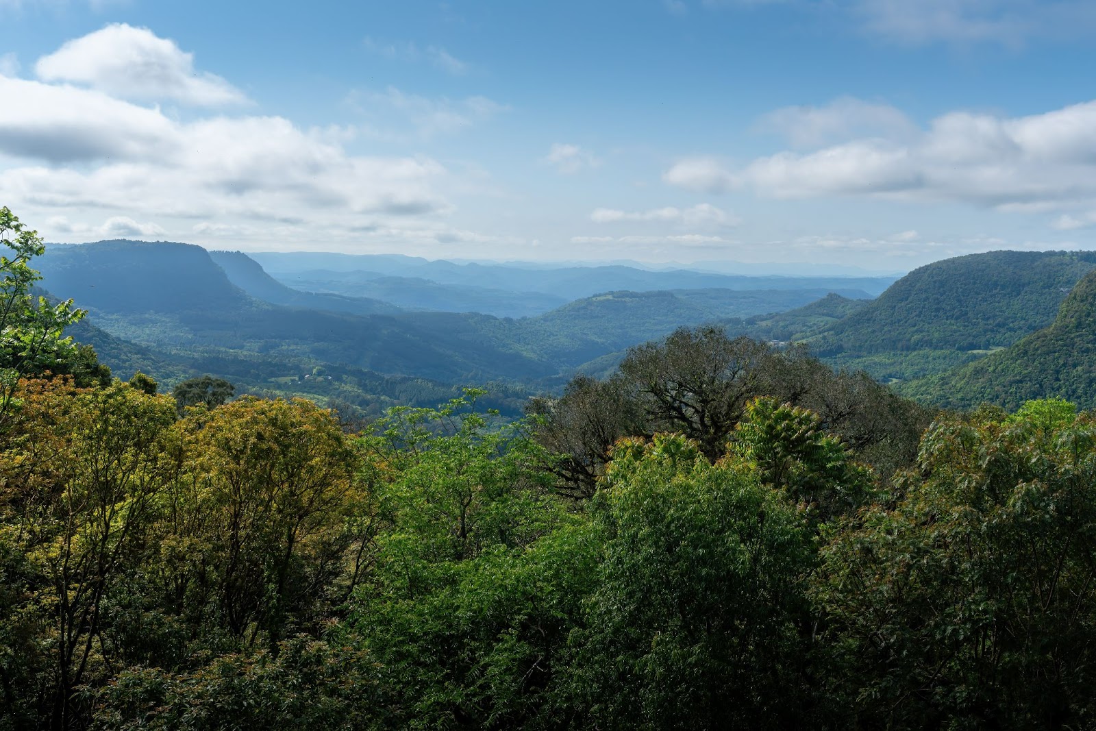 Vista do mirante para o Vale do Quilombo. Árvores de diferentes espécies em primeiro plano, com montanhas ao fundo.