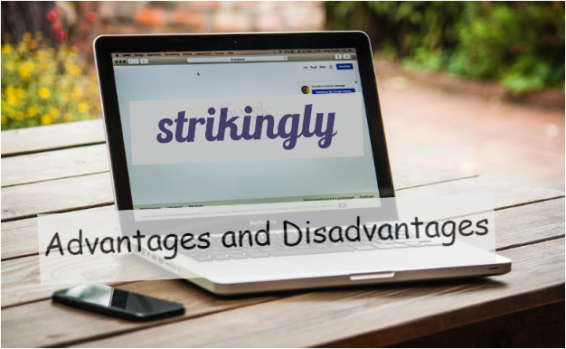 Strikingly advantages and disadvantages