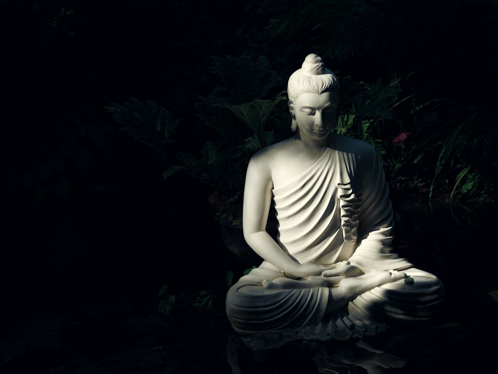 Istoria Meditației