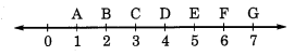 understanding elementary shapes class 6