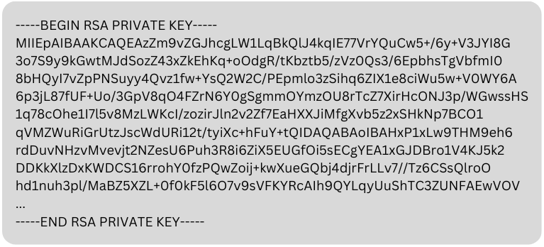 rsa private key