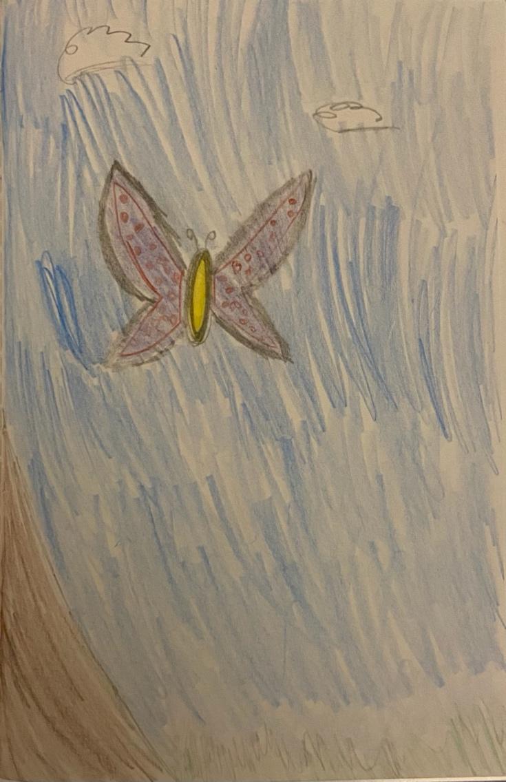 A drawing of a butterfly

Description automatically generated