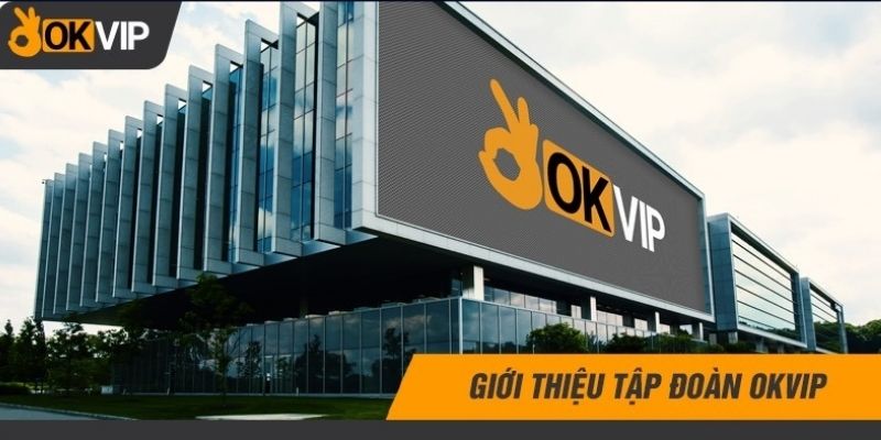 Tìm hiểu về OKVIP - tập đoàn giải trí truyền thông về cá cược trực tuyến