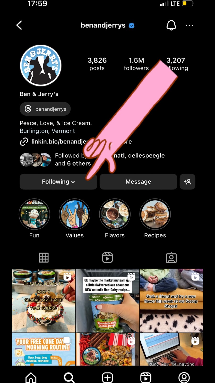 Screenshot of Ben & Jerry's "Values" highlight on Instagram