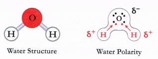 Imagen que contiene Texto

Descripción generada automáticamente