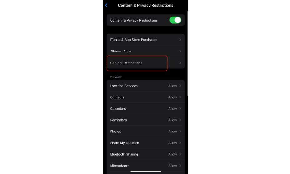 Fully Disable Private Browsing on Your iPhone