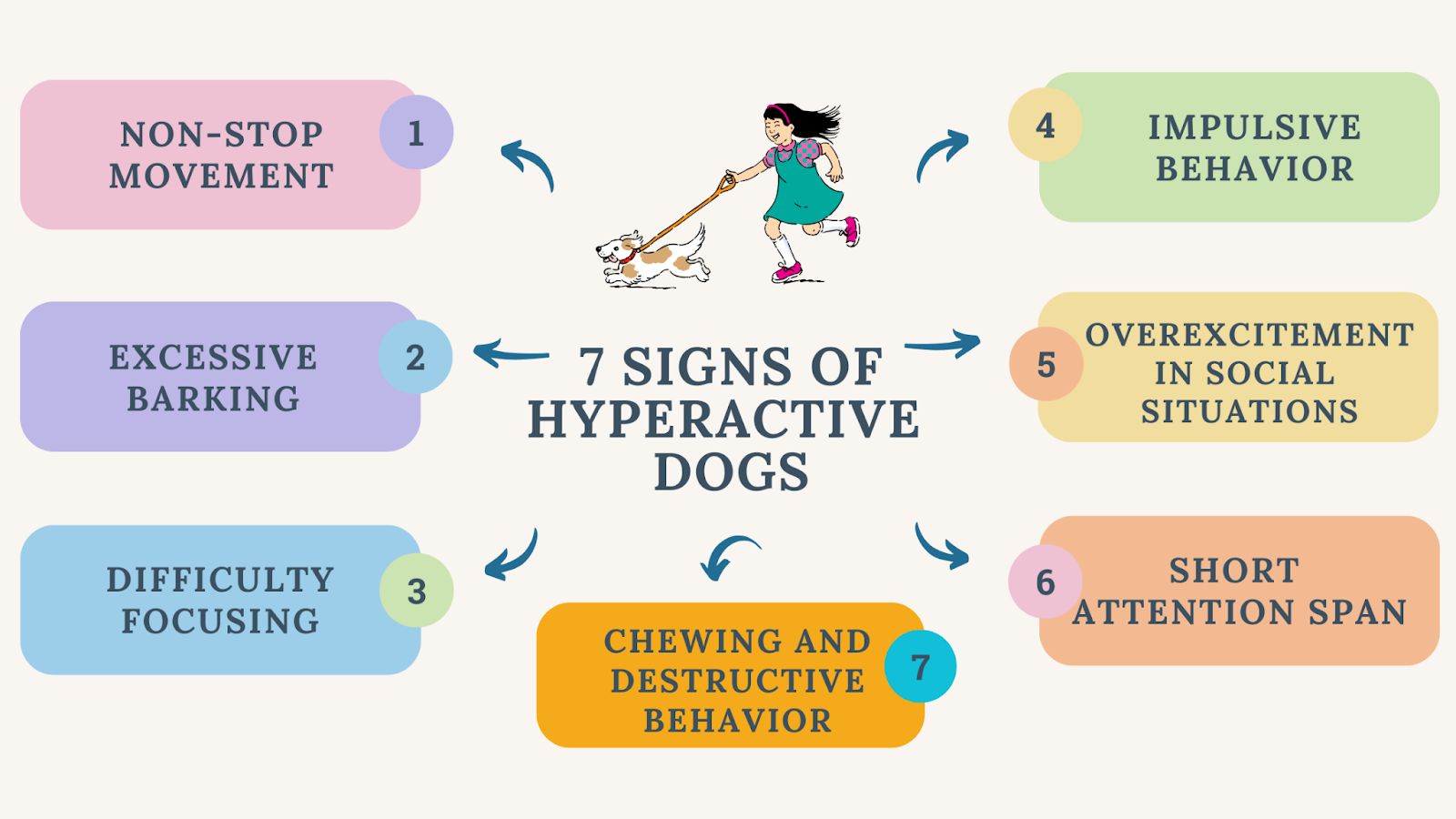 Signs of hyperactive dogs