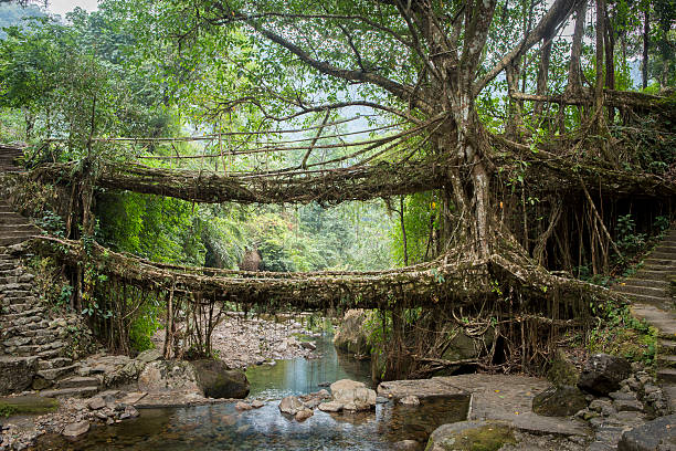 Cherrapunji