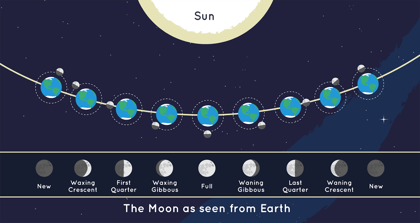 The Moon's Orbit