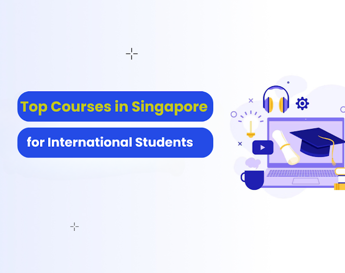 Top Courses in Singapore for International Students