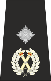 UK Police Deputy Chief Constable Epaulette
