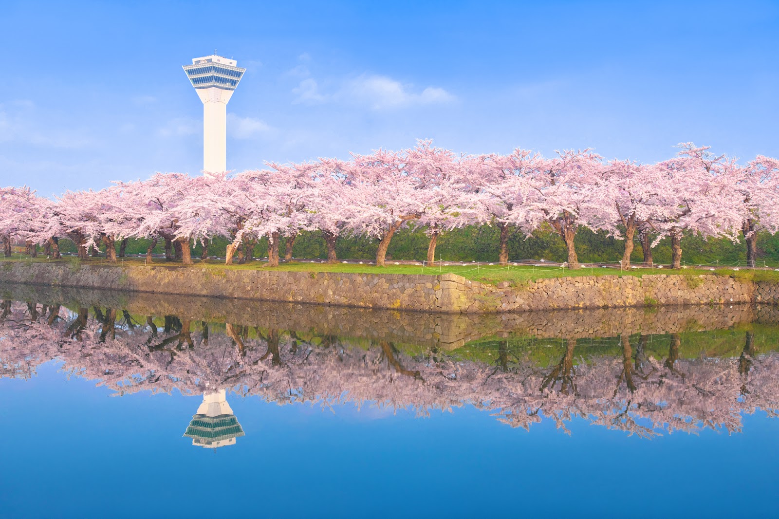 北海道で桜のお花見をするなら「五稜郭公園」