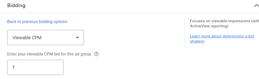 Google Ads Viewable CPM Bidding