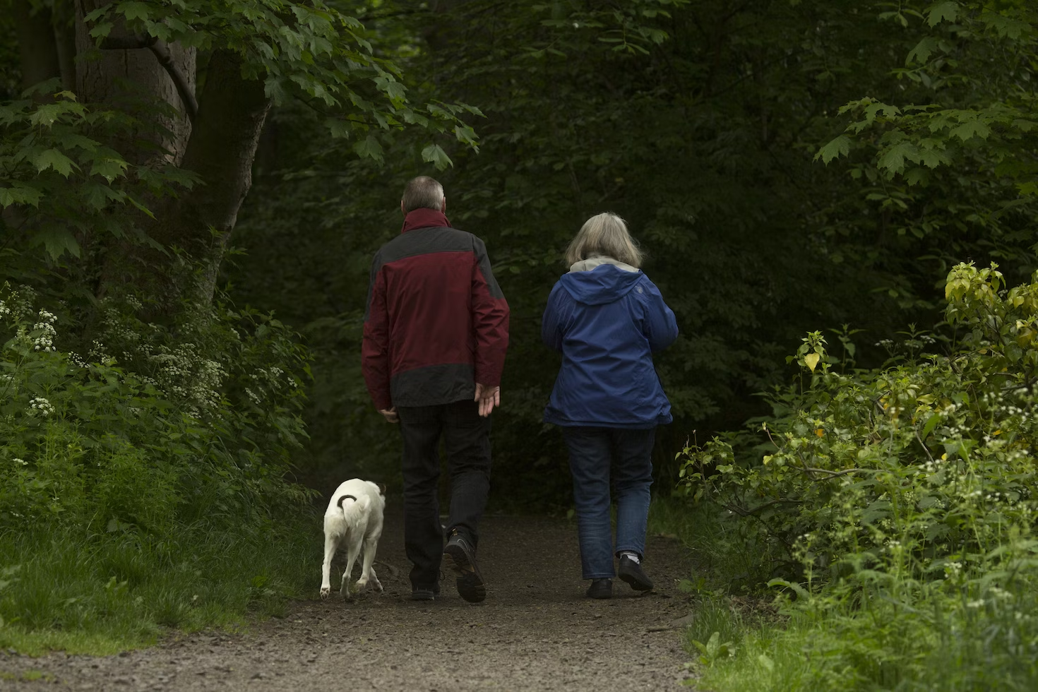 How Much Do You Need to Retire Comfortably