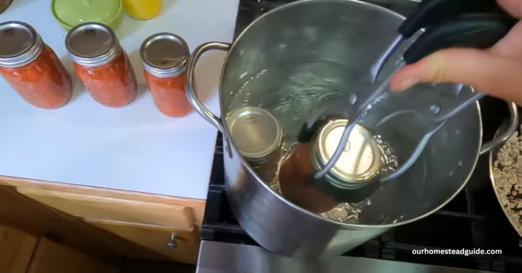 Canning Pico de Gallo With Vinegar