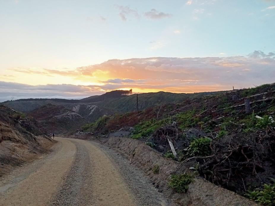 May be an image of 1 person, horizon, road and twilight