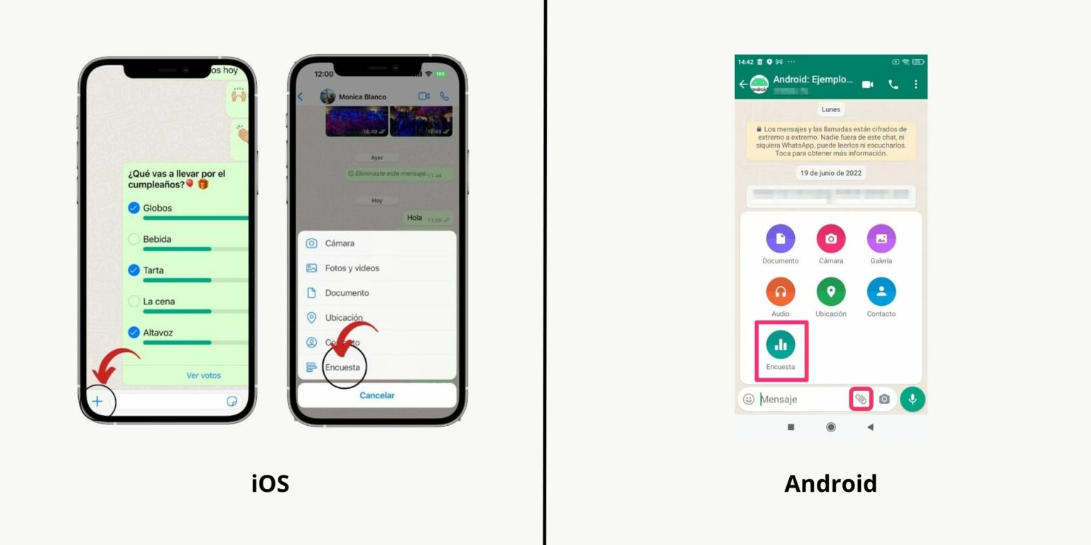 Encuestas de WhatsApp iOS & Android