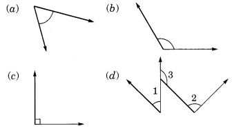 class 6 maths solution Chapter 5