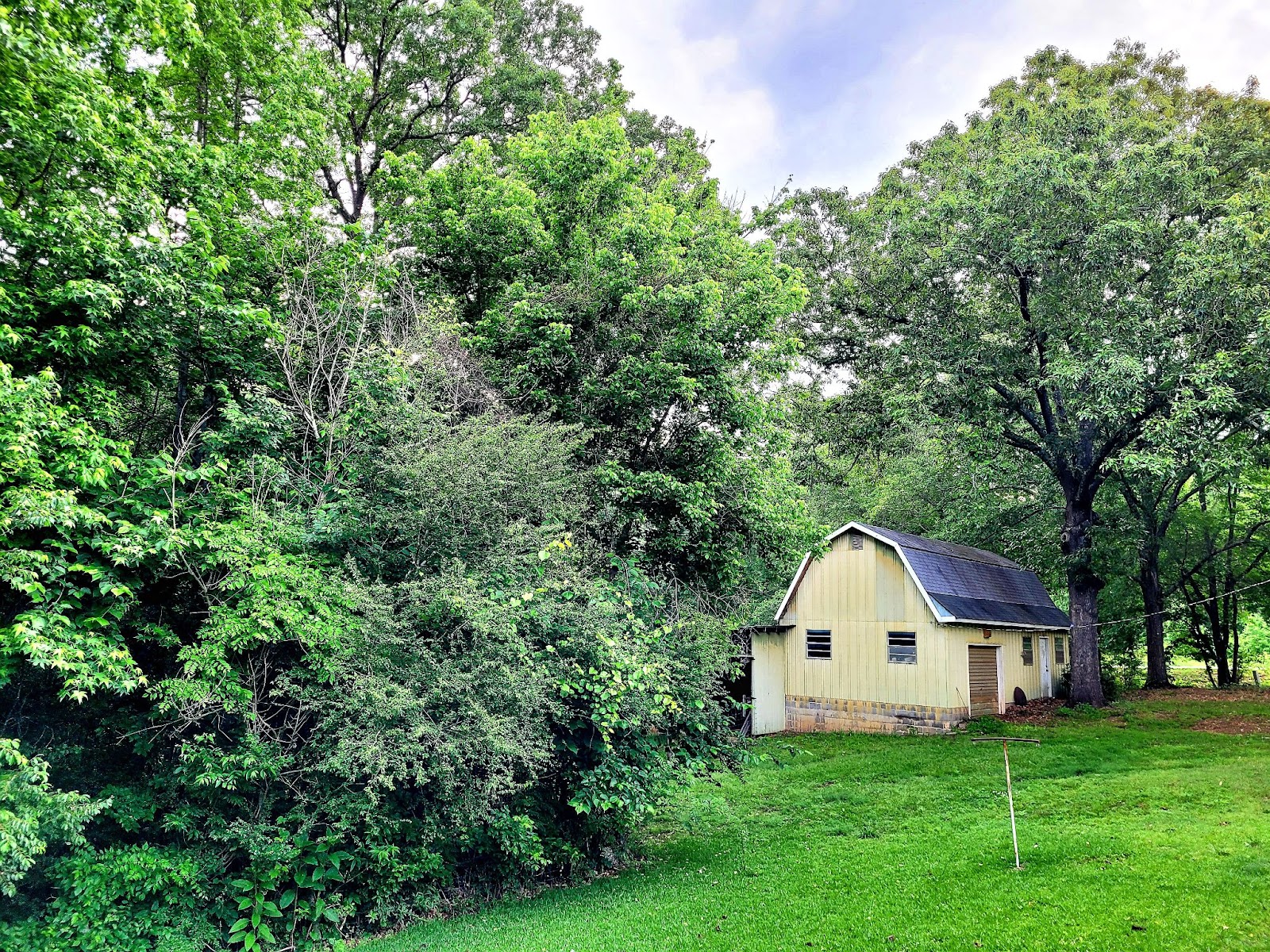 A yellow barn home a distance away surrounded by trees and glass.