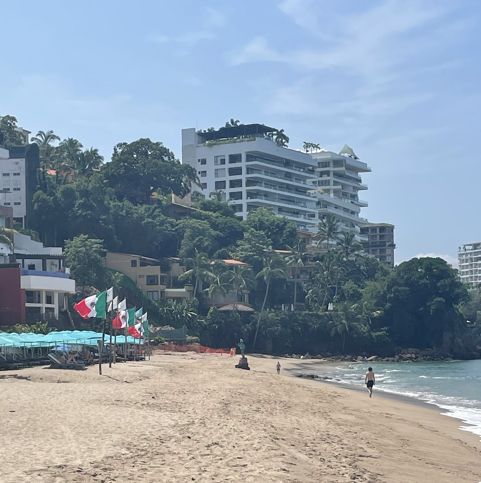 Sun, Beach, Bears And Fun! Discover the Hot Activities for Puerto Vallarta  | Daily Squirt