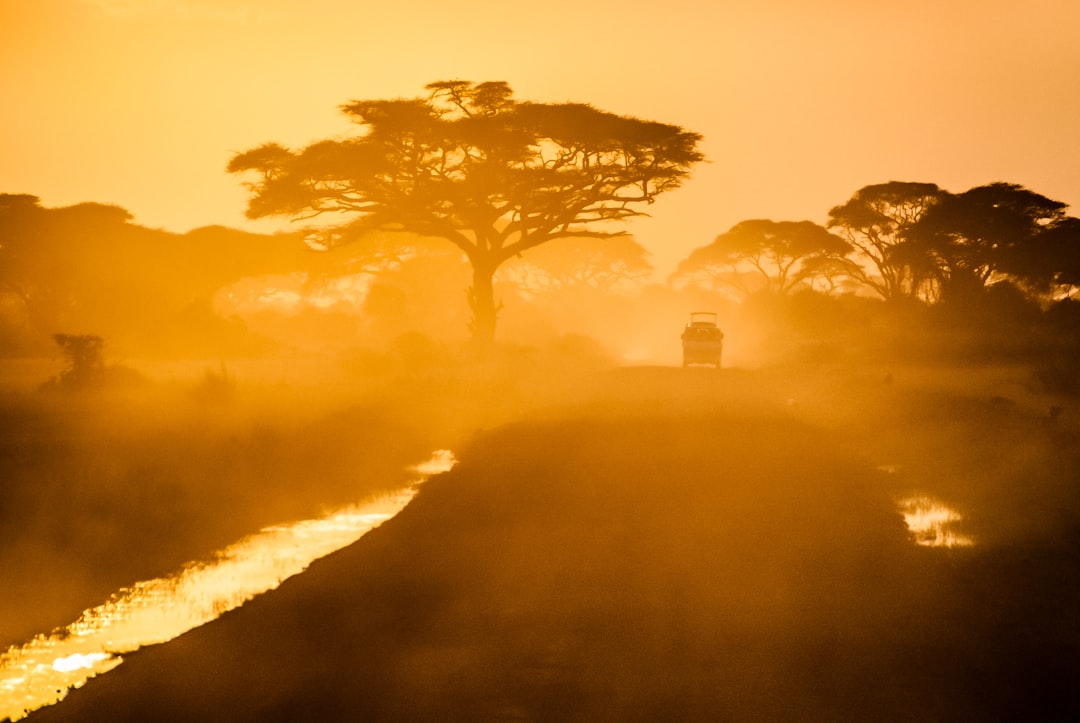 Stanford Africa MBA Fellowship