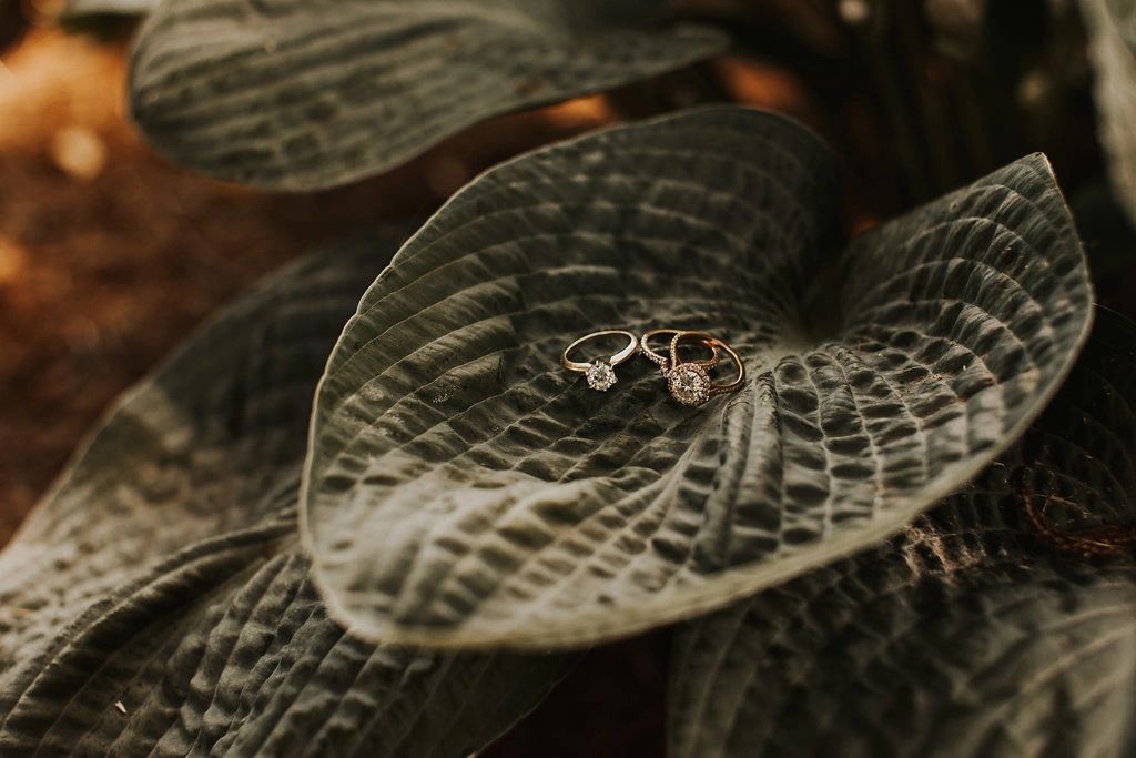 Rings on top of a leaf

