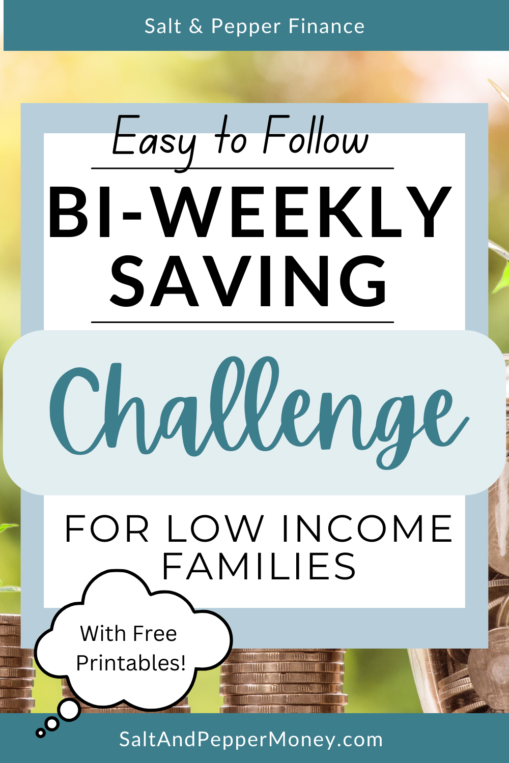 biweekly savings plan low income-2024