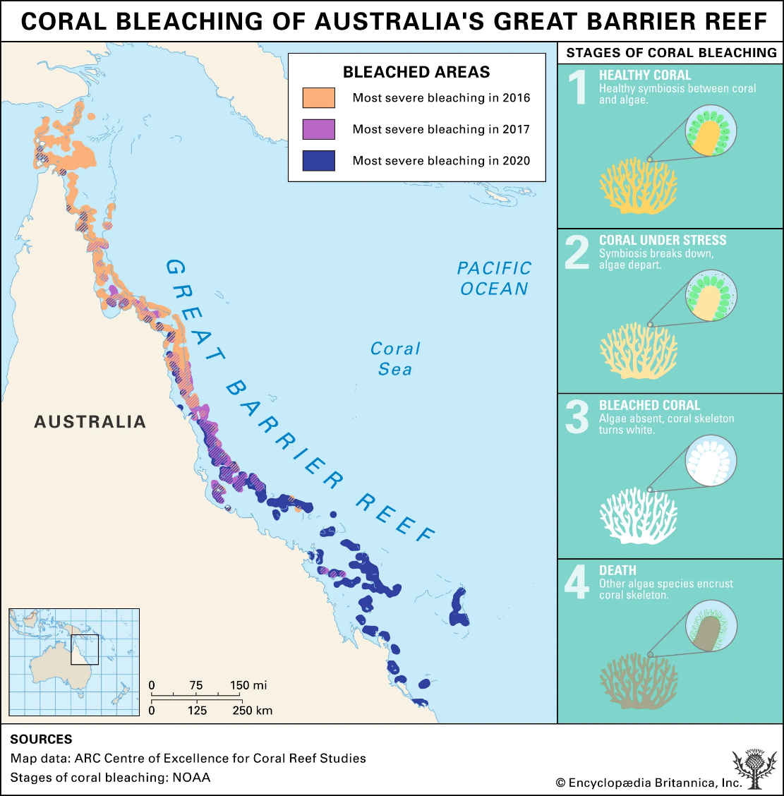 Coral Bleaching in Great Barrier Reef