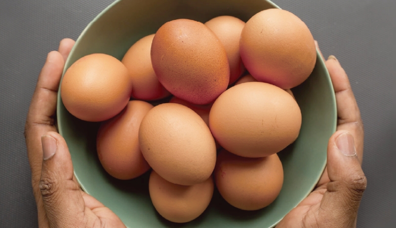 「かっぱの健卵」は健康を一番に考える卵