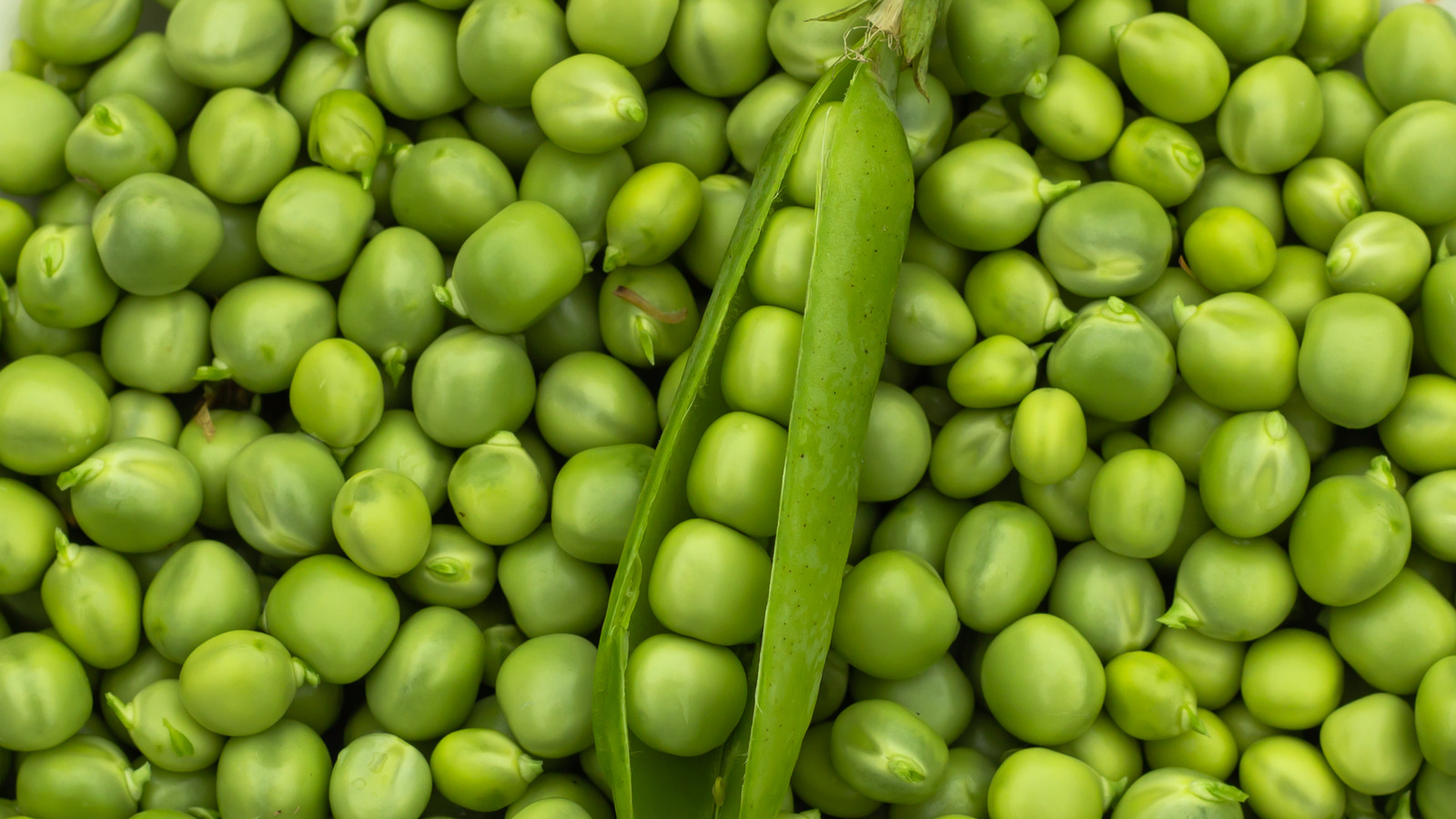 Peas (Pisum sativum)
