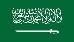 Bandera de Arabia Saudita: ¿por qué es de color verde y qué significa la  espada y la inscripción? - AS.com