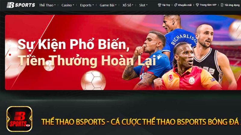 Bsport - Trang chủ thể thao đa dạng với đẳng cấp quốc tế