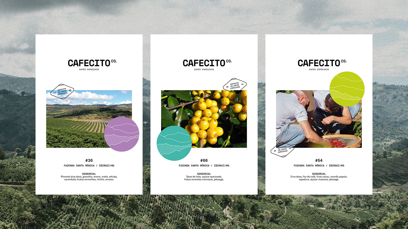 Artifact from the Cafecito Co.: Mastering Branding and Packaging Design article on Abduzeedo