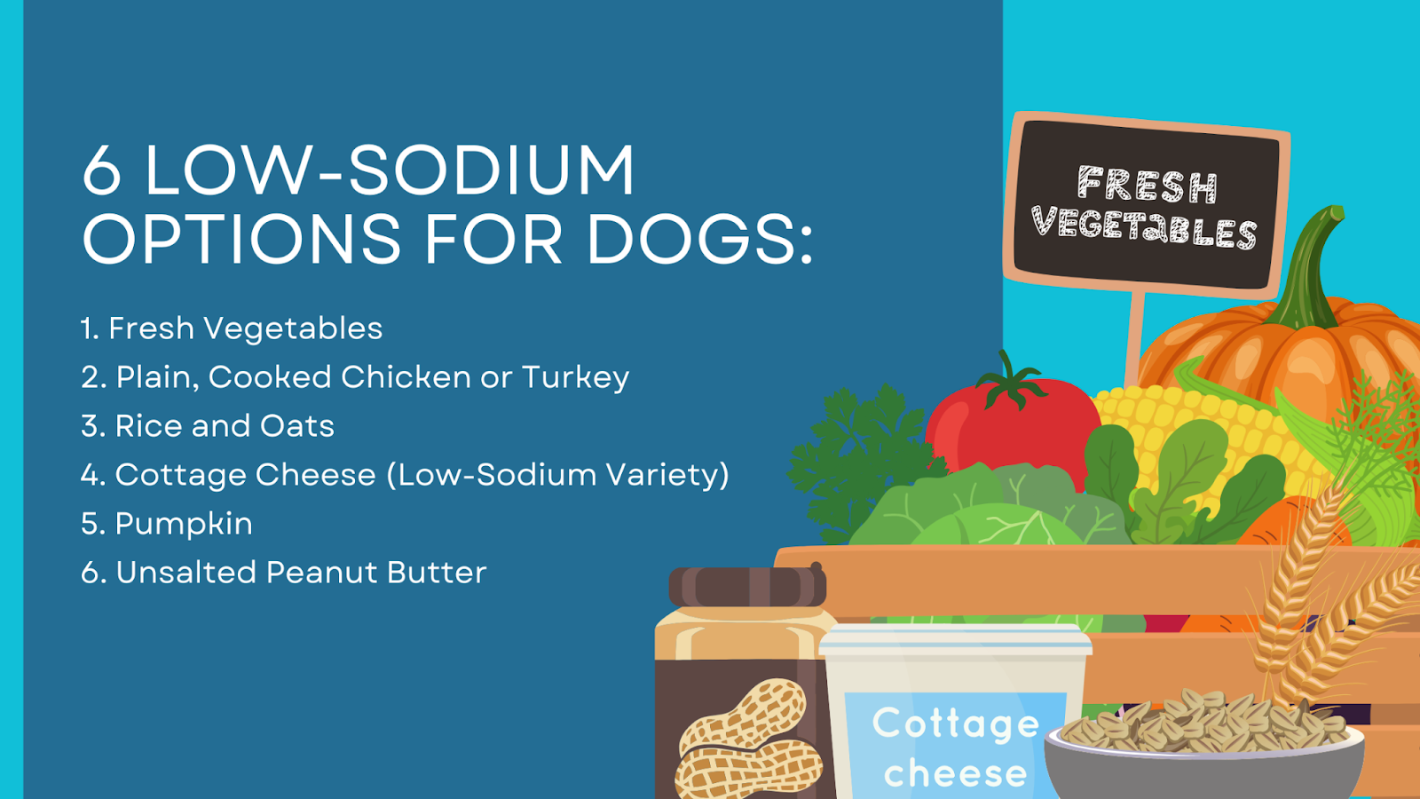 6 low-sodium options for dogs