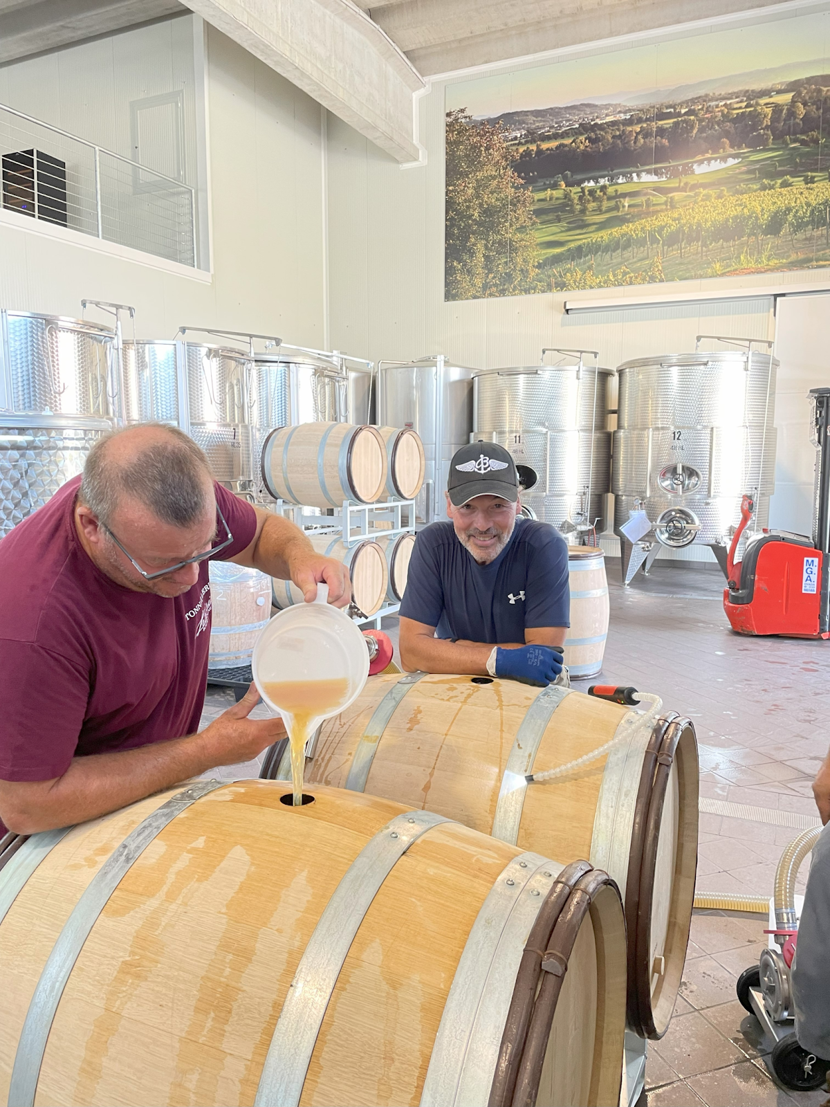 Fermentation process in winemaking