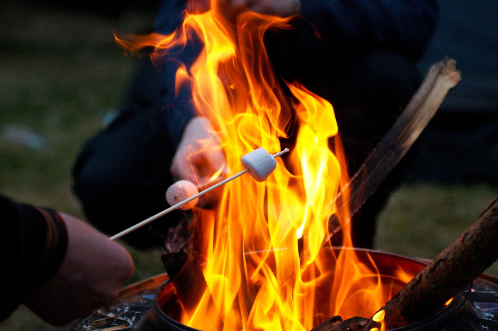 Toasting marshmallows in campfire. 