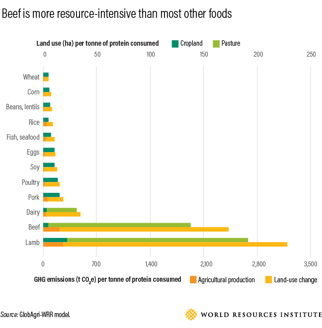 opportunities reduce emissions beef production