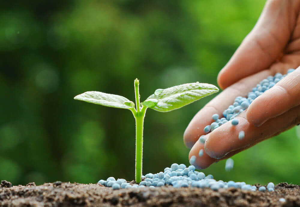 Manage Fertilizer Application