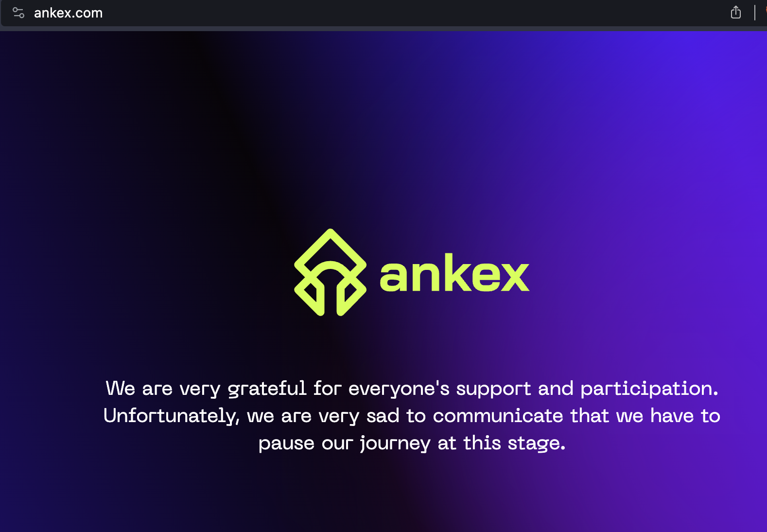 El sitio web oficial del exchange Ankex informa a los espectadores sobre la pausa.