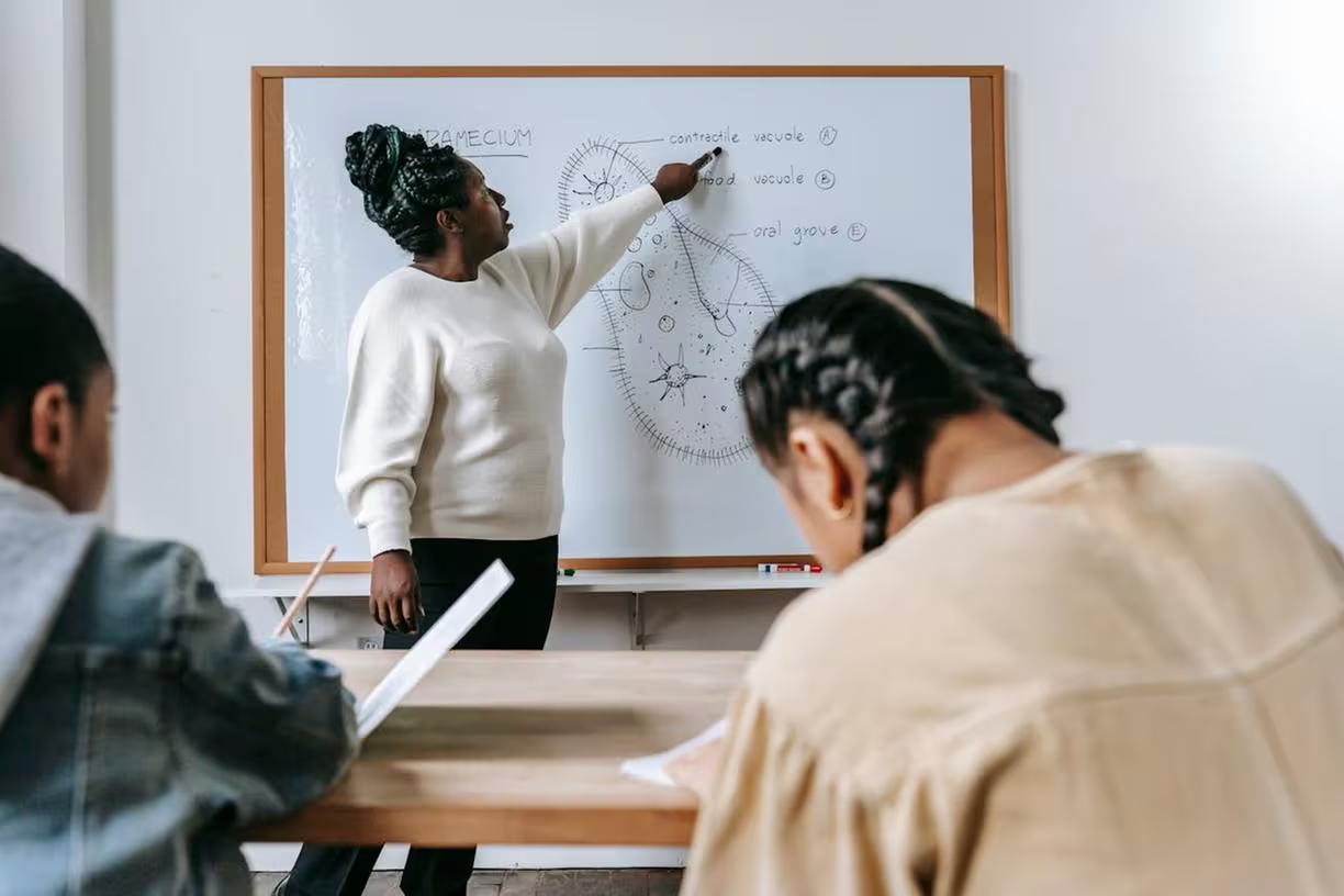 Queda de professores efetivos em escolas estaduais preocupa.

Imagem ilustrativa de uma mulher negra frente a um quadro ensinando  biologia a duas alunas, de costas para foto.