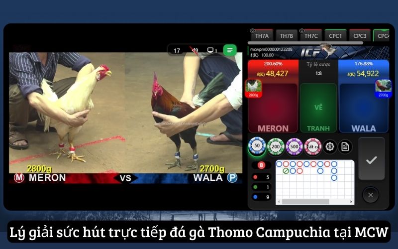 Lý giải sức hút trực tiếp đá gà Thomo Campuchia tại MCW