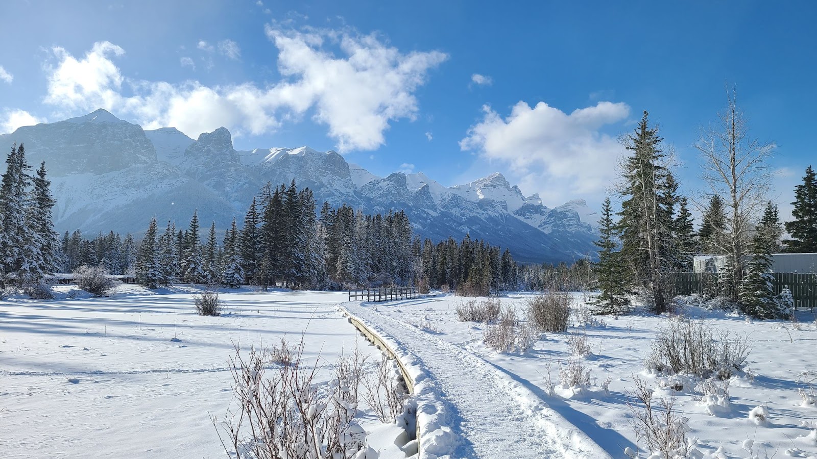 Policeman's Creek Trail in Snow