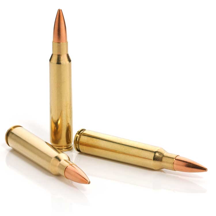 .223 Remington / 5.56x45mm NATO