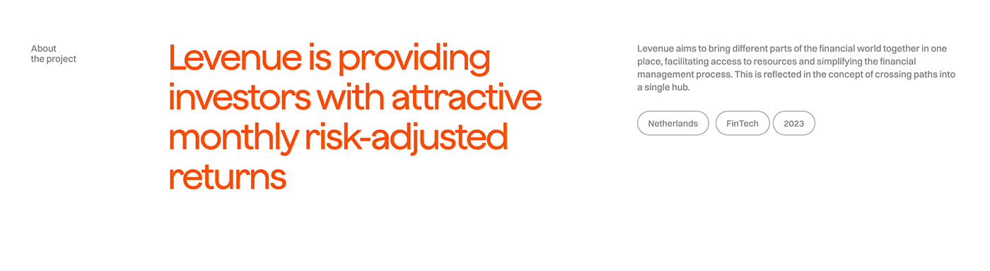 Fintech finance Investment brand identity Logo Design visual identity Web Design  Website Netherlands