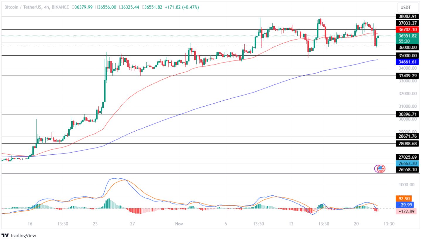 Bitcoin Price Analysis