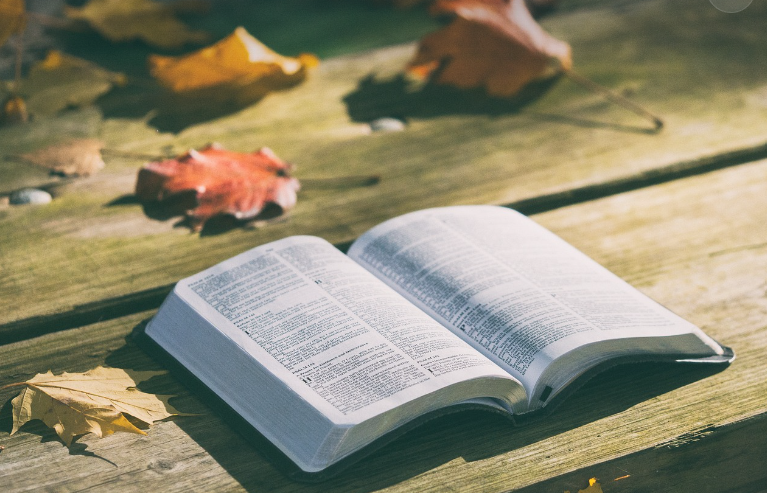 Scripture: Too Little or Too Much?