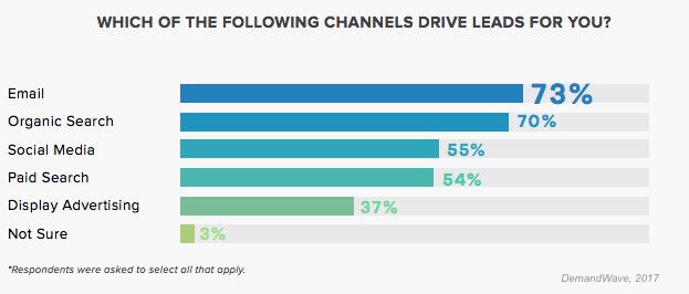 which of the following channels drive leads for you?